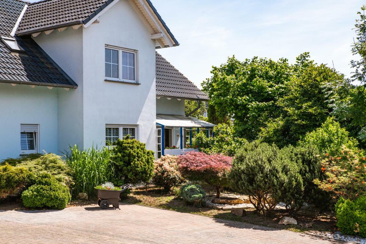 Das Blaue Haus Daufenbach Exterior photo
